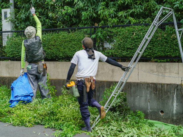 有限会社舩越造園/植木職、植木職見習いで未経験から始められます