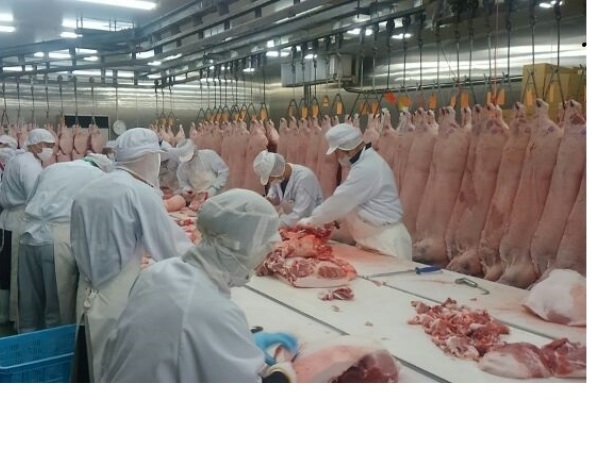 茨城畜産商事/食肉製造加工販売の梱包計量スタッフ