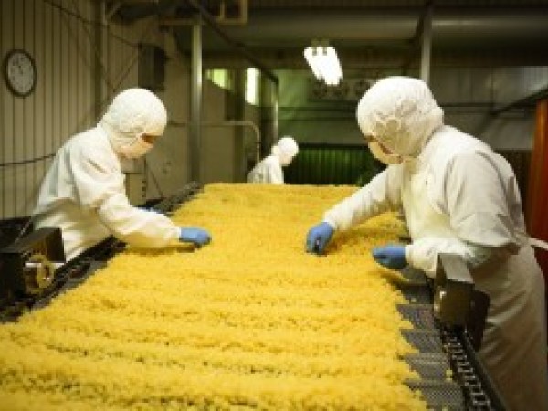 澁谷食品株式会社/（正）工場での菓子原料製造ライン業務をお任せします