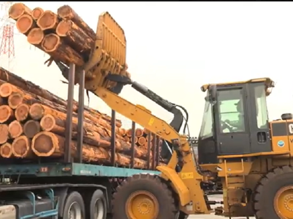 ウッドリンク株式会社/【未経験OK！】木材製材工場での原木仕分け・重機オペレーター