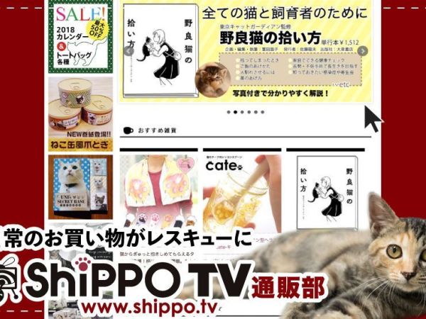 NPO法人東京キャットガーディアン/交通費支給あり！保護猫のためのEC・通販担当スタッフ募集　（猫雑貨・飼育用品など販売中）
