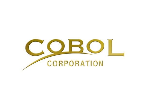 株式会社COBOLの求人情報-04