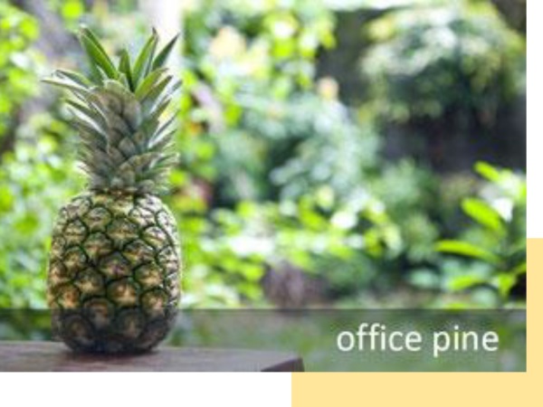 Office Pine LLC/☆雑誌広告・WEB広告・アプリ導入プランナー