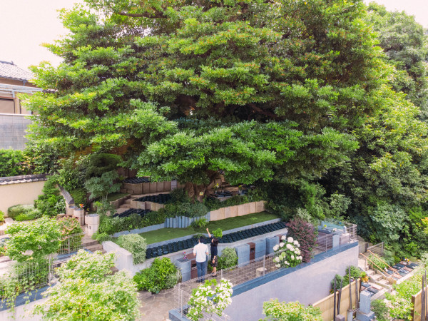 株式会社366/花と緑に囲まれて働く樹木葬の販売スタッフ　長明寺「谷中樹陵 久遠」