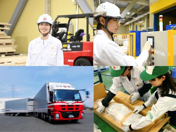 日本梱包運輸倉庫株式会社/物流工程の設計・改善