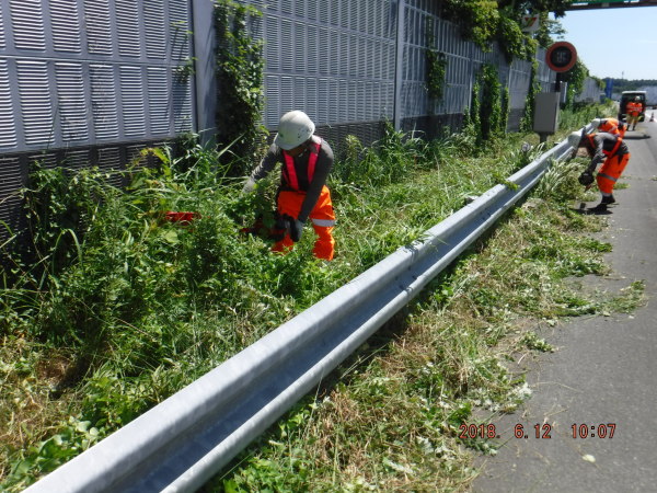 高速道路の植栽作業員/未経験歓迎/年休122日/土日祝日休み