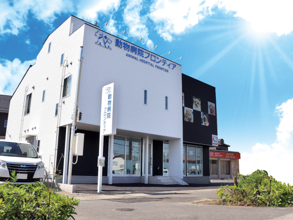 動物病院フロンティア/埼玉県春日部市で愛玩動物看護師を募集/開院3年目の動物病院です