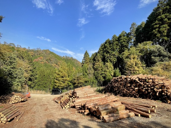 有限会社ウッズ/森を育み木を活かす職人募集　製材機を操作し丸太から建築用木材を製造します。未経験OK！