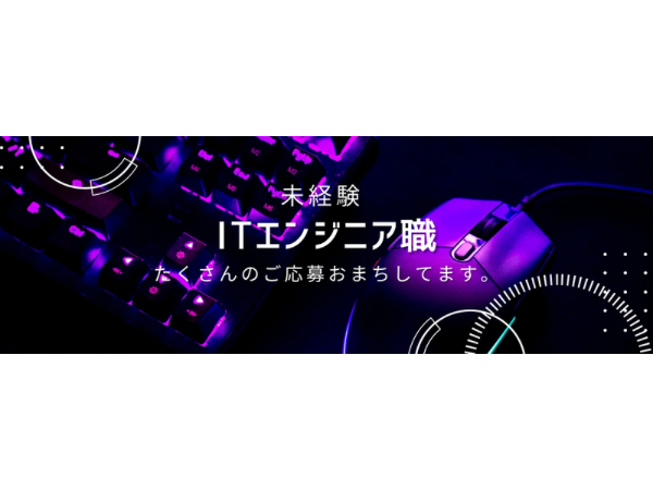 株式会社ビズスタッフ/【未経験】【中途採用】ゲームデバッカー