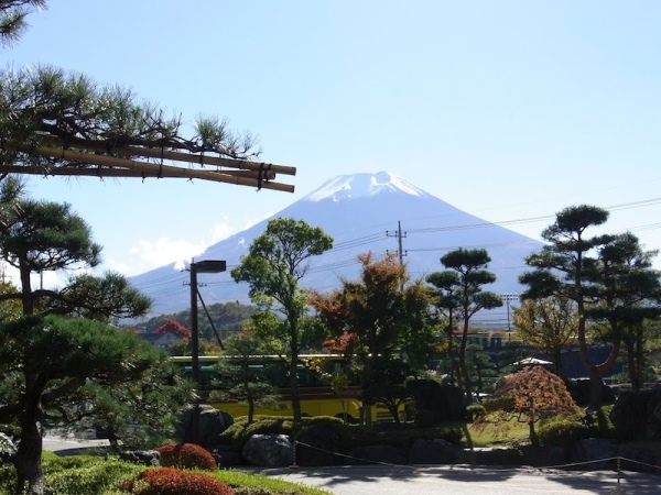 0円ワンルーム寮あり！着付けを覚えると。着物が好きになる富士山を一望する癒しの宿