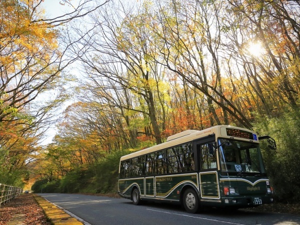 箱根登山バス株式会社/車の運転が好きな方、接客が好きな方、未経験者も大歓迎！