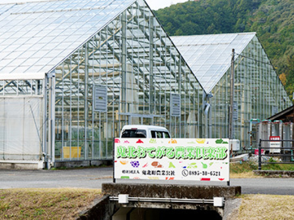 地域おこし協力隊◆農業を通じて鬼北町を活性化／野菜・お米・特産品「きじ肉」などの栽培・育成を担当