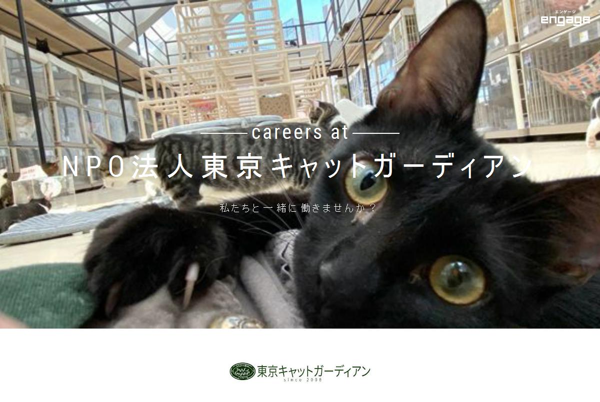 保護猫シェルター 飼育アルバイト Npo法人東京キャットガーディアン Engage